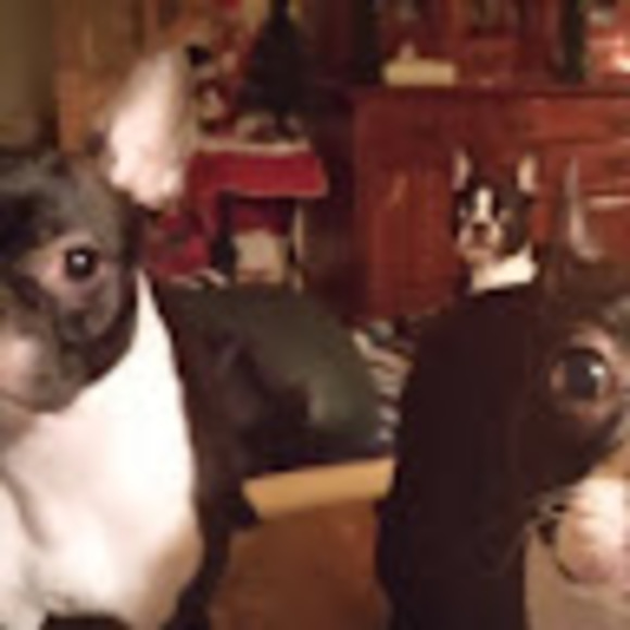 Meet your Posher, Matt - Picture 1 of 1